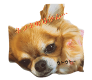 91050256