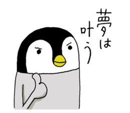 9106567