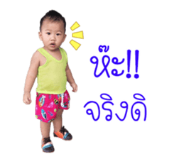 91085485
