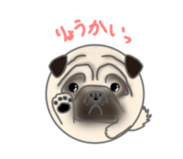 91088620