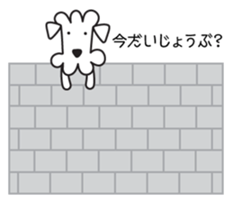 9111796