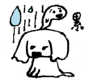 9125536