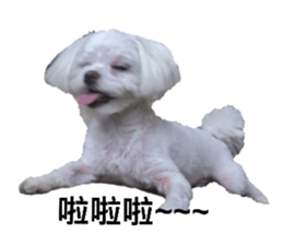 91337577