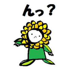 9137516