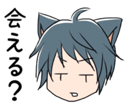9137771