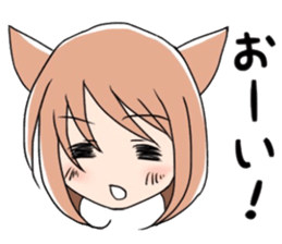 9137777