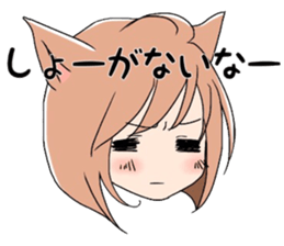 9137792