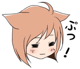 9137796