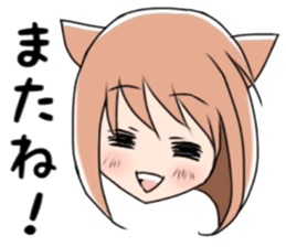 9137806