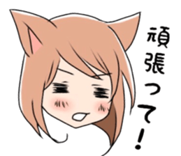9137807