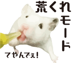 9139689
