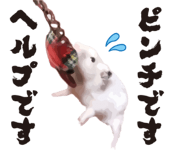 9139690