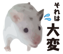 9139691