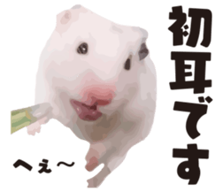 9139695