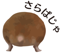 9139700