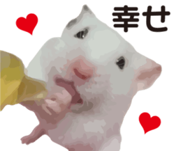 9139702