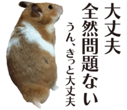 9139703