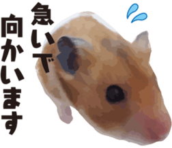 9139704