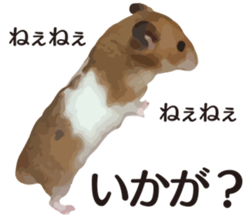 9139706