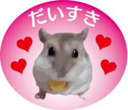 9139707