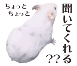 9139708