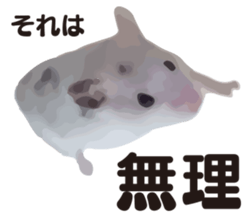 9139710