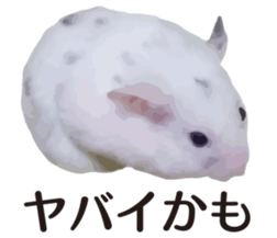 9139712