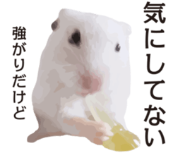 9139713
