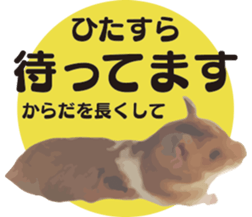9139714