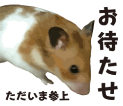 9139715