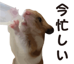 9139716