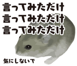 9139721