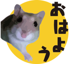 9139726