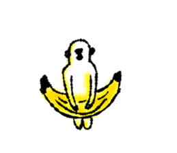 9143976