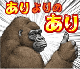 91564698