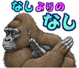 91564699