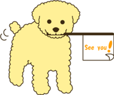 915921