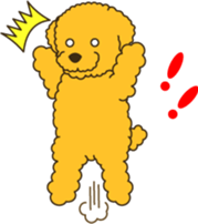 915926