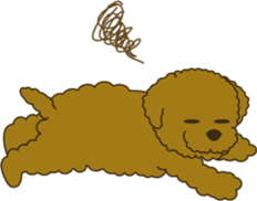 915940
