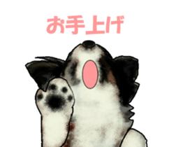 9159983