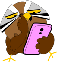 9163797