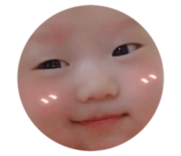 91681511