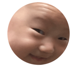 91681516