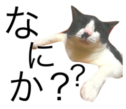 91845299