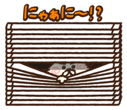 9197681