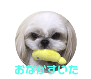92028787