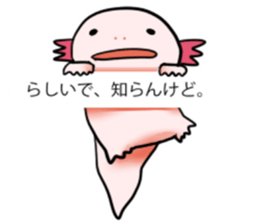 9205805