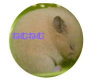 92071772