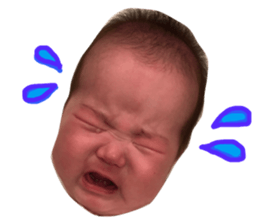 92086144
