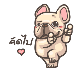 พิกุ - เฟรนช์ บูลด็อก 5 รูปที่ 5